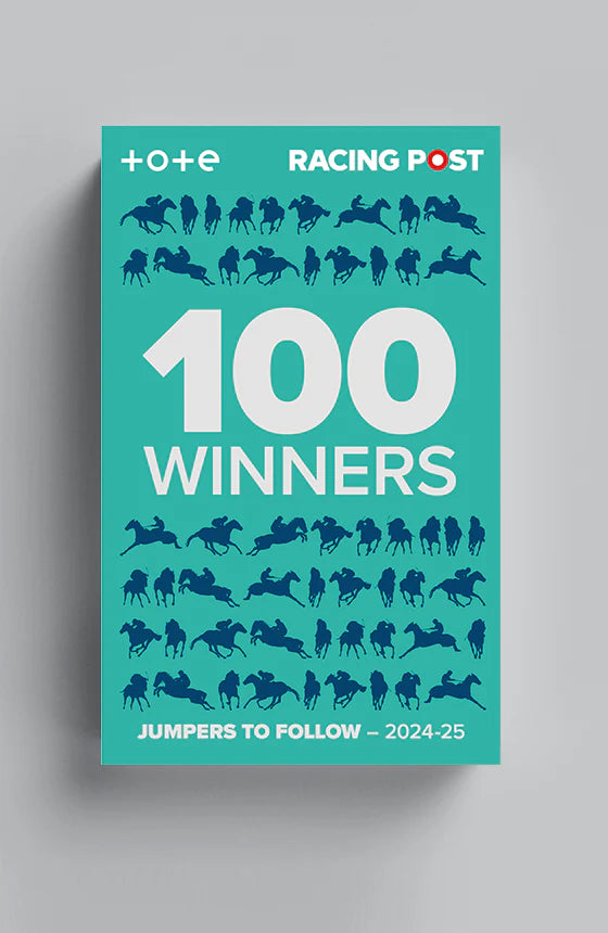 Racing Post 100 Winners: Jumpers to Follow 2024-25