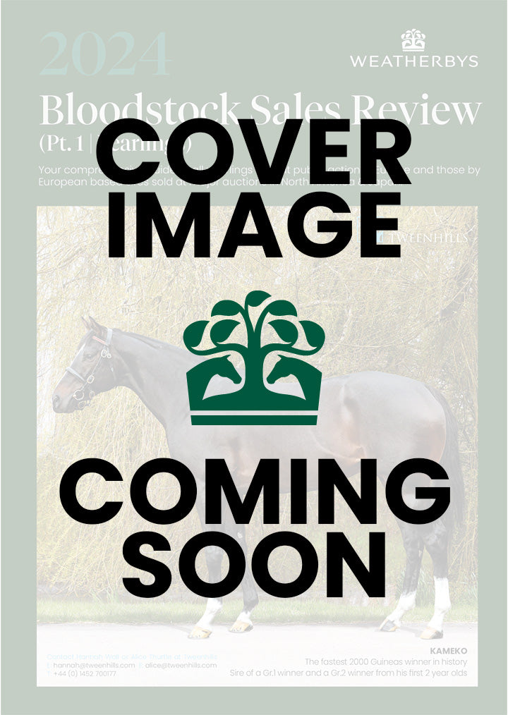 Bloodstock Sales Review - Part 1 2025