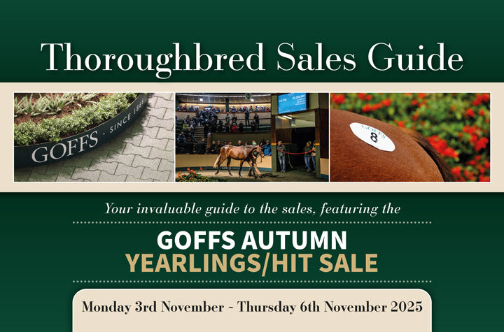 Goffs Autumn Yearlings/HIT Sale 2025