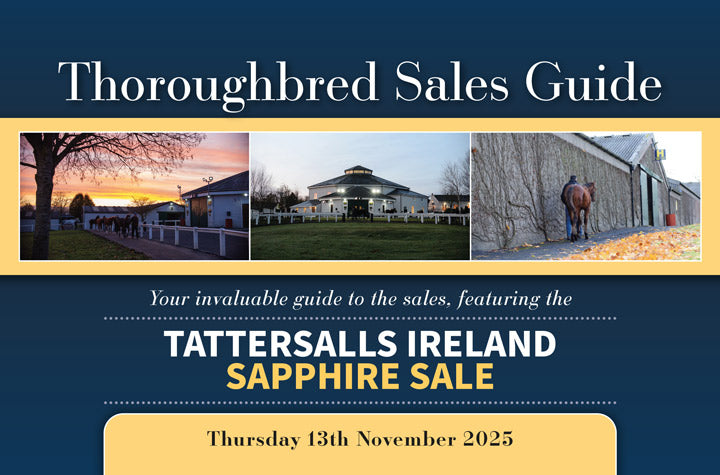 Tattersalls Ireland Sapphire Sale (Foals & Breeding Stock Sale) 2025 - PDF