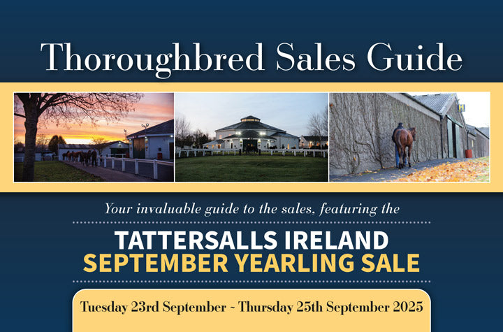 Tattersalls Ireland September Yearling Sale 2025