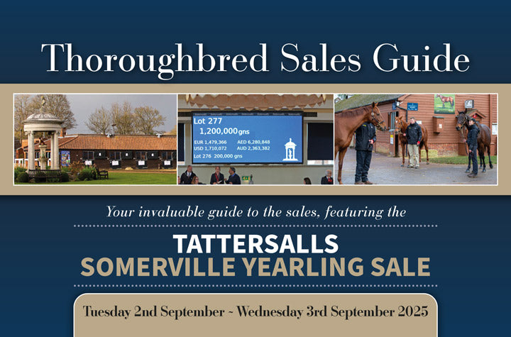 Tattersalls Somerville Yearling Sale 2025