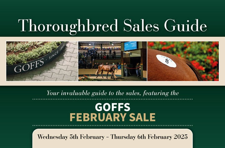 Goffs February Sale 2025 - PDF